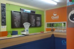 Cesil Helados de Neuquen