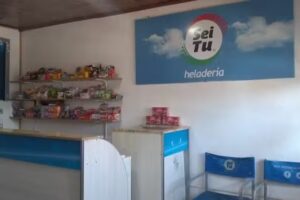 Despensa y Helader&iacute;a La Bendici&oacute;n (helados Sei Tu)