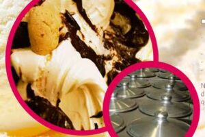 Distribuidora Helados Tirreno