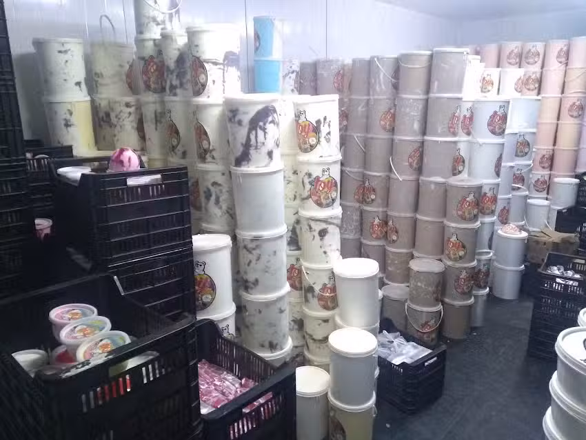 FABRICA DE HELADOS TOYS