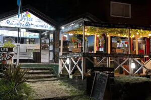 Fr&iacute;os helader&iacute;a las gaviotas