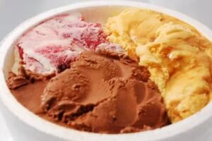 Govo Helados Artesanales