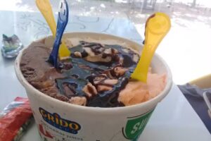 Grido helado