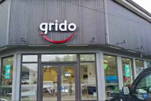 Grido helado