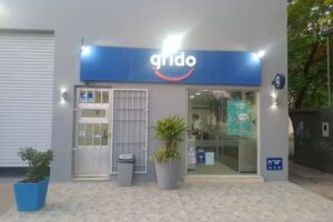 Grido helado