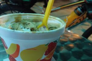 Helader&iacute;a Artesanal Diego