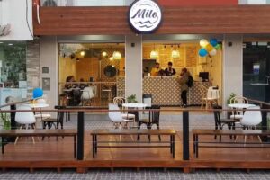 Heladeria Artesanal Milo