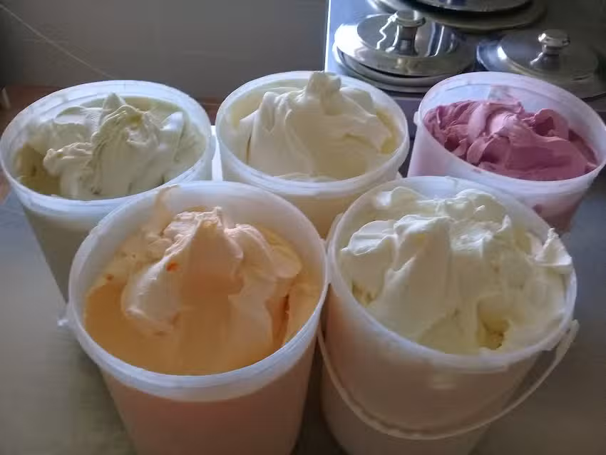 Heladeria Artesanal SANTA ANITA