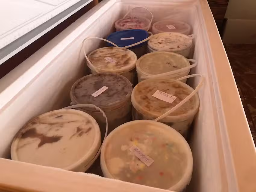 Heladeria artesanal sol y verde