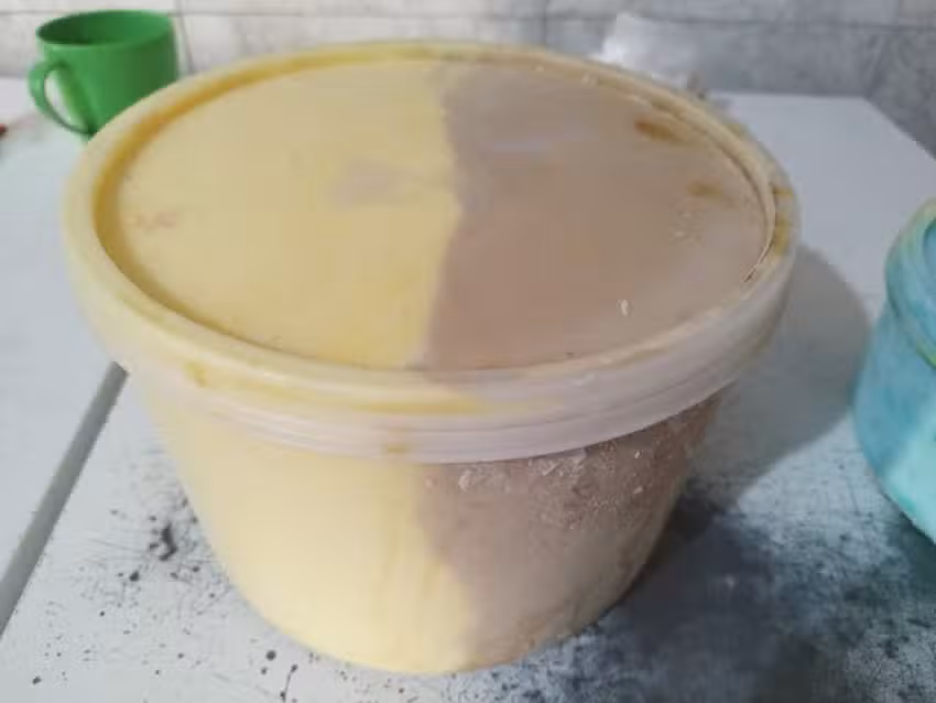 Helader&iacute;a Cremy (F&aacute;brica de Helados)