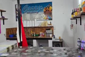 Helader&iacute;a Do Santos