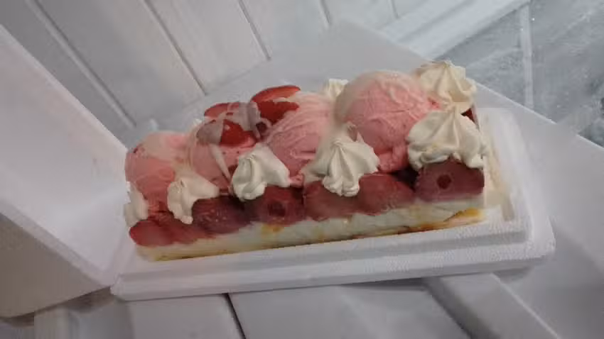 HELADER&Iacute;A ELBA