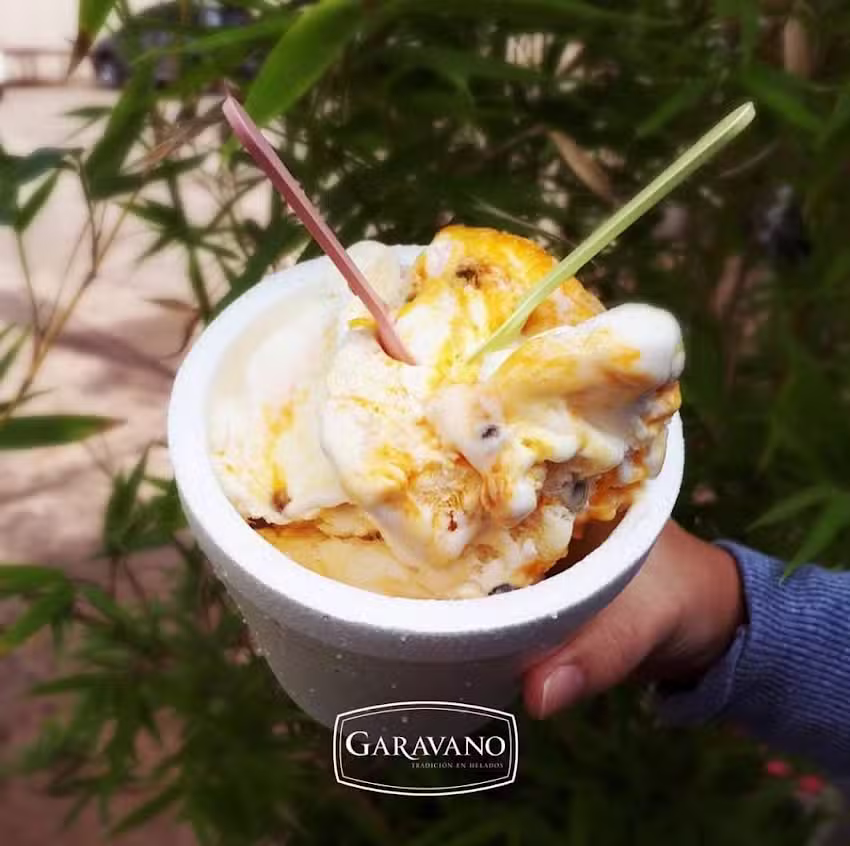 Helader&iacute;a Garavano Ober&aacute;