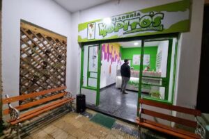 Helader&iacute;a Kopito&rsquo;s nevados