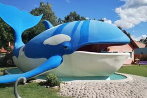 Helader&iacute;a La Ballena