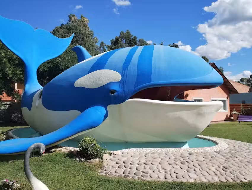 Helader&iacute;a La Ballena