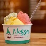 Helader&iacute;a NESSER