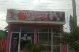 Helader&iacute;a Panambi