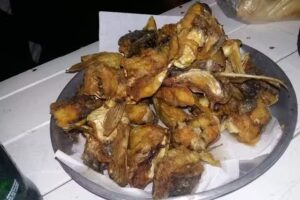 Helader&iacute;a Polijub &ndash; Sucursal