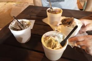 Helader&iacute;a Venezia Paso del Rey