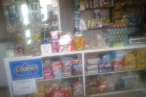 HELADER&Iacute;A Y DESPENSA &ldquo;EL &Iacute;DOLO&rdquo;