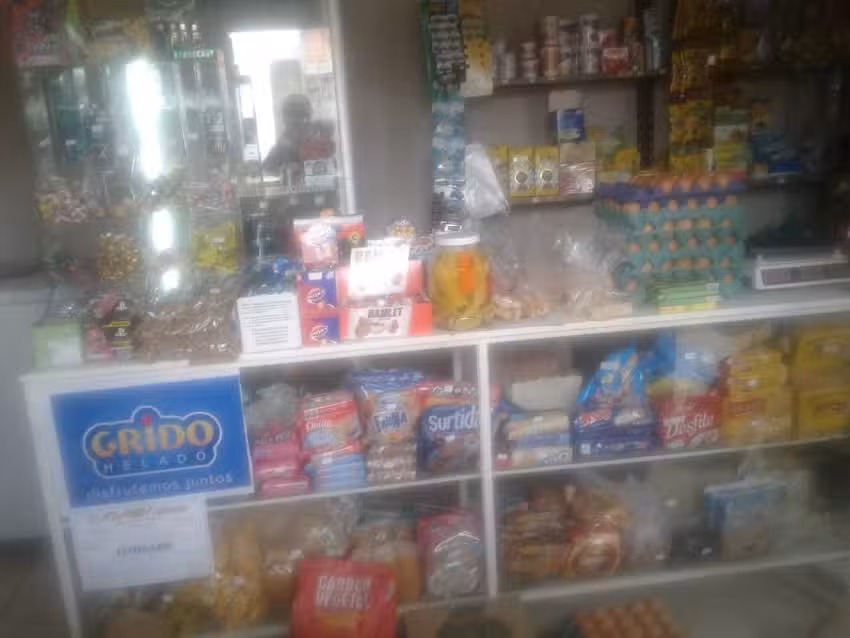 HELADER&Iacute;A Y DESPENSA &ldquo;EL &Iacute;DOLO&rdquo;