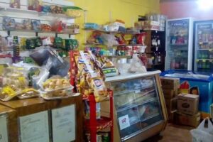 Heladería y Maxikiosco “Barrio Nuevo”