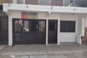 KIOSCO TU 24 *HELADOS PALITO AL POR MAYOR*