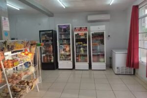 Mercadito y heladería grido el san juanino