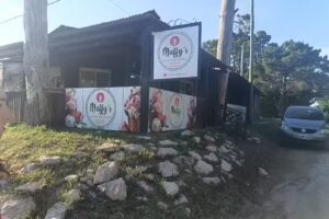 Muffy&rsquo;s helados artesanales