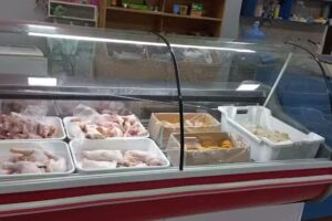 POLLER&Iacute;A y HELADER&Iacute;A GRIDO