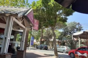 Prego Helado Artesanal