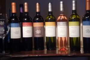 VINOTECA & HELADER&Iacute;A / WINE STORE