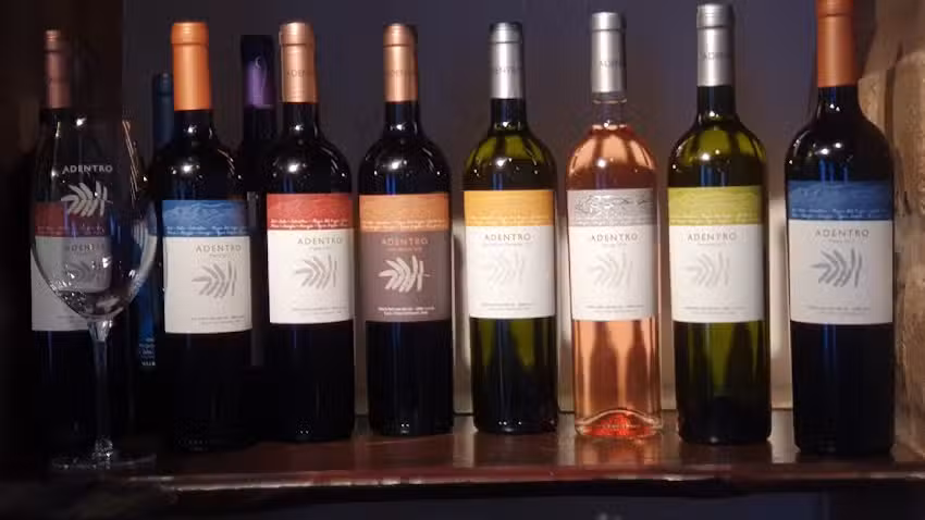 VINOTECA & HELADER&Iacute;A / WINE STORE